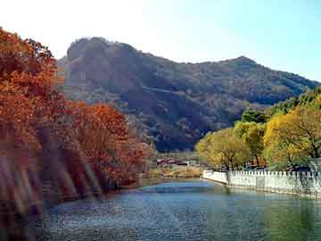 新澳天天开奖资料大全旅游团，顶针润滑剂